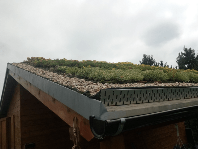Showcase of green roof realization in Zeleneč