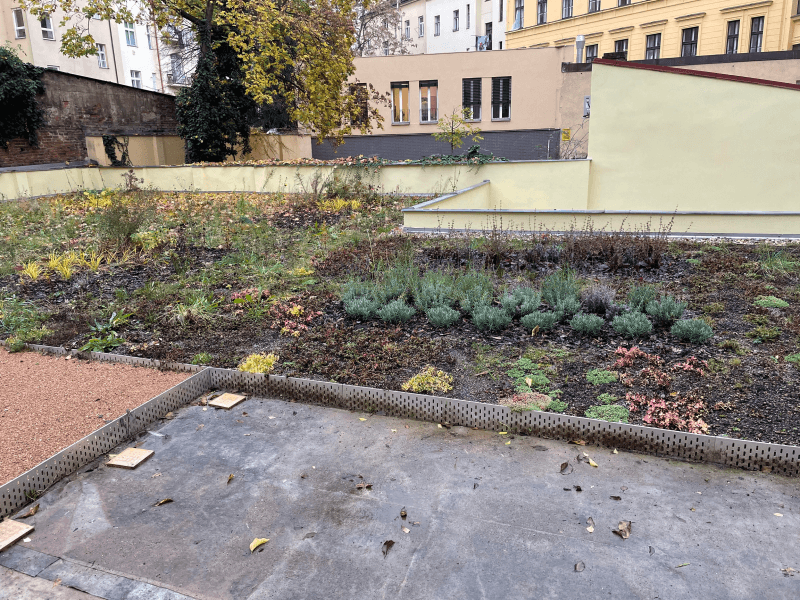 Ukázka realizace zelené střechy v Sázavské