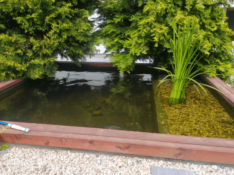 Ukázka realizace jezírka