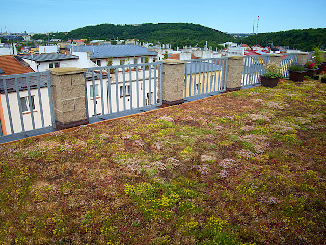 Ukázka realizace zelené střechy v Nuslích