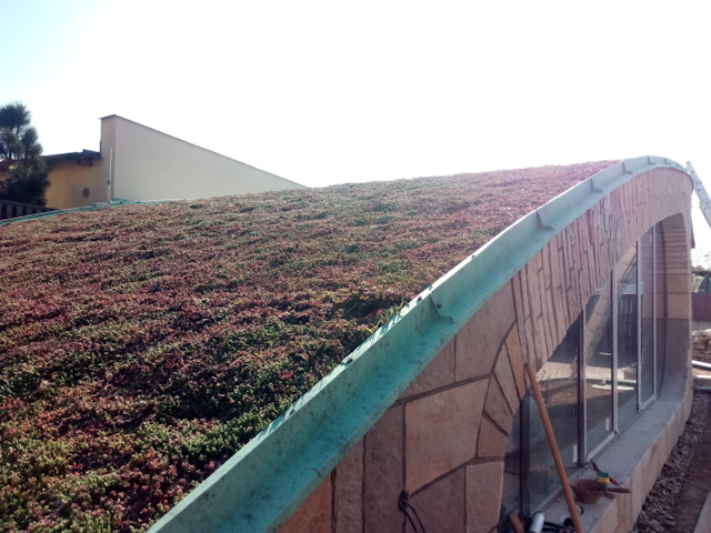 Ukázka realizace zelené střechy v Holyni