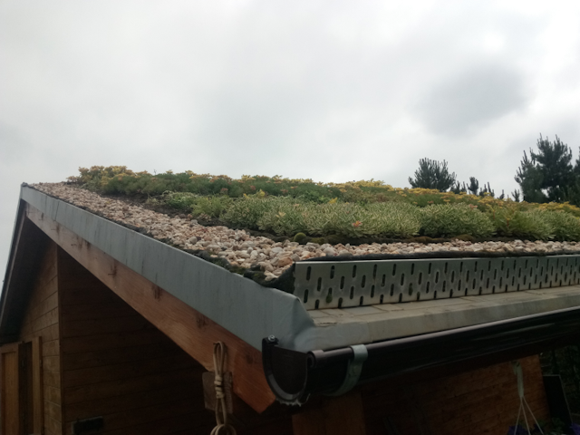 Ukázka realizace zelené střechy v Zeleneči