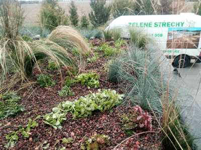 Showcase of green roof realization in Zeleneč