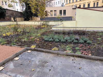 Showcase of green roof realization in Sázavská