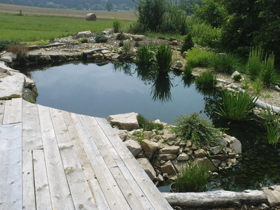 Showcase of pond realization