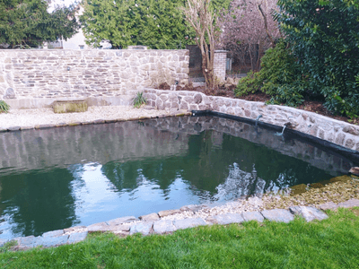 Showcase of pond realization