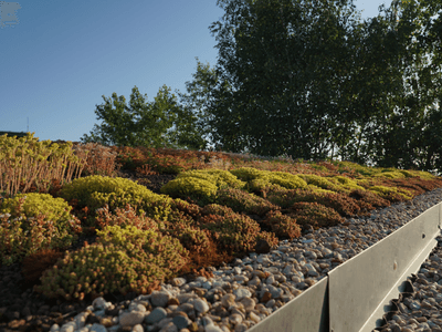 Showcase of green roof realization in Tehov