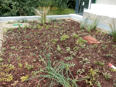 Showcase of green roof realization in Velké Popovice