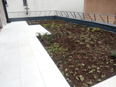 Showcase of green roof realization in Turnov