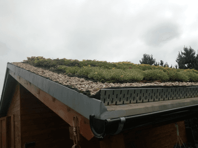 Showcase of green roof realization in Zeleneč