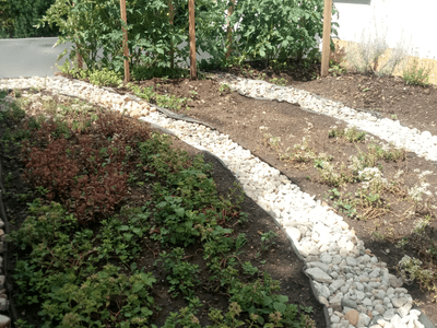 Showcase of green roof realization in Kubec