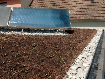 Showcase of green roof realization in Benátky