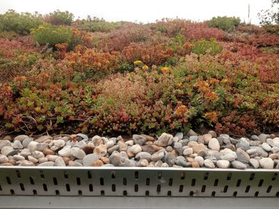 Ukázka realizace zelené střechy v Tehově